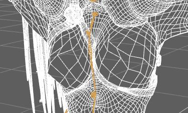 Hidden Wireframe Chest Clothing