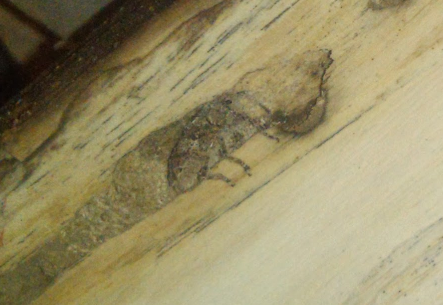 2013-11-02_18-06-00_124-ausschnitt.jpg