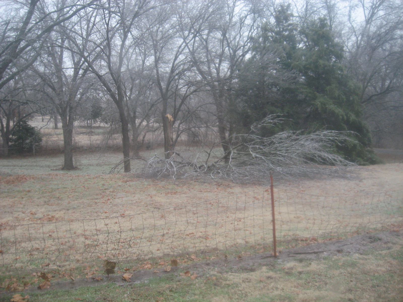 IMG_2146.JPG