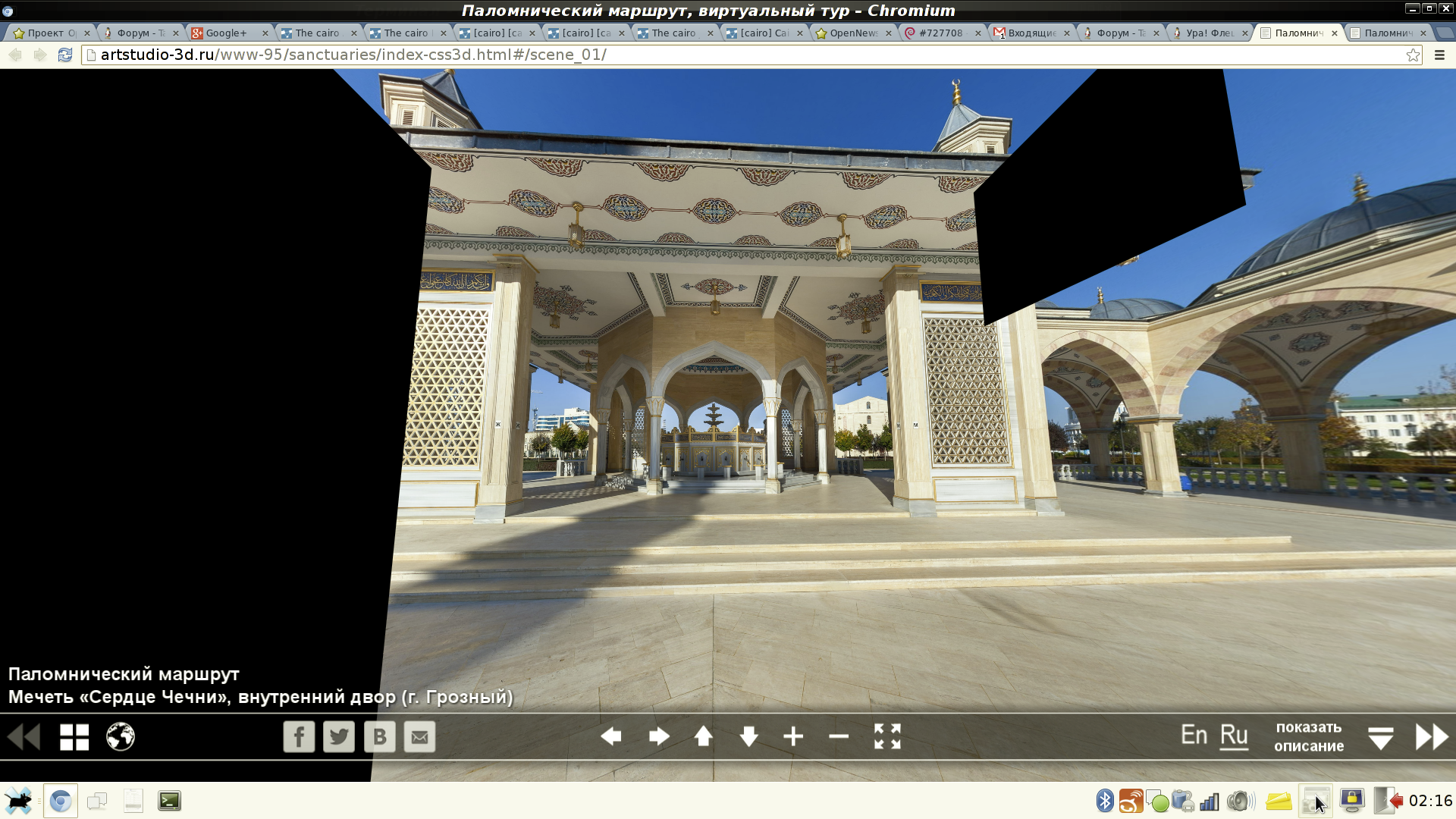 Buggy Screenshot