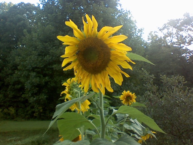 0819091922.jpg
