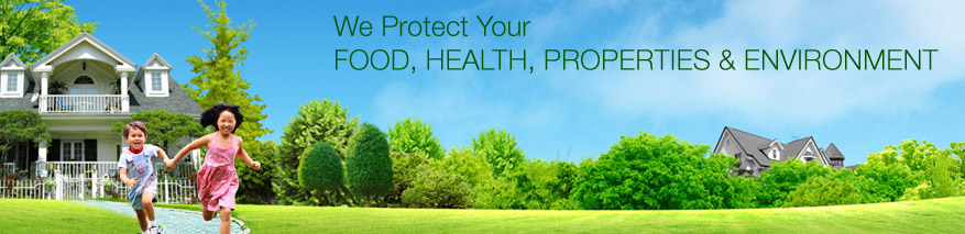 Pest control Services Bangalore kickpest