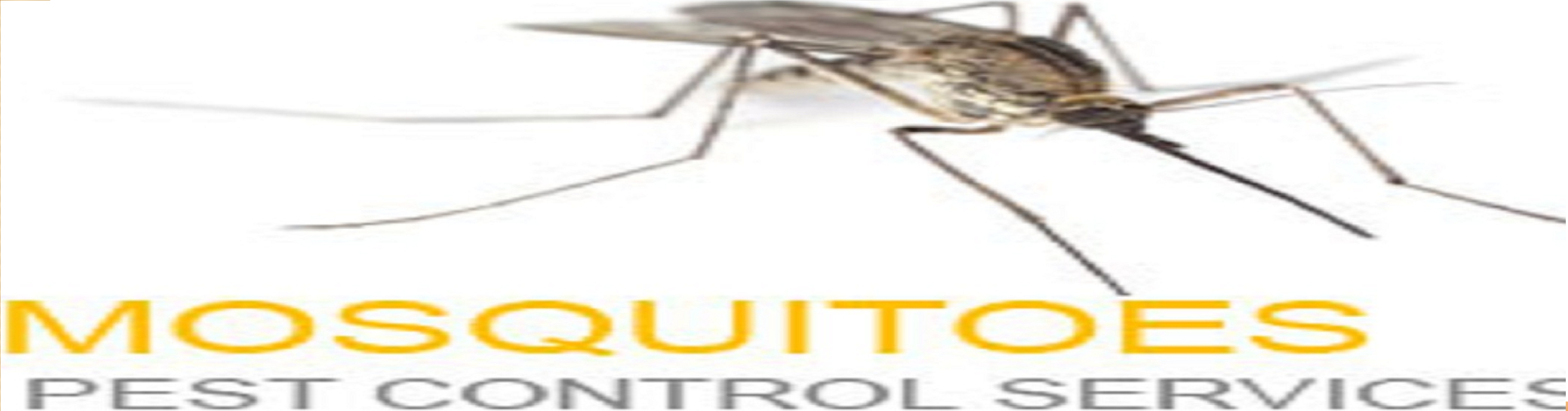 Mosquito Control Bangalore