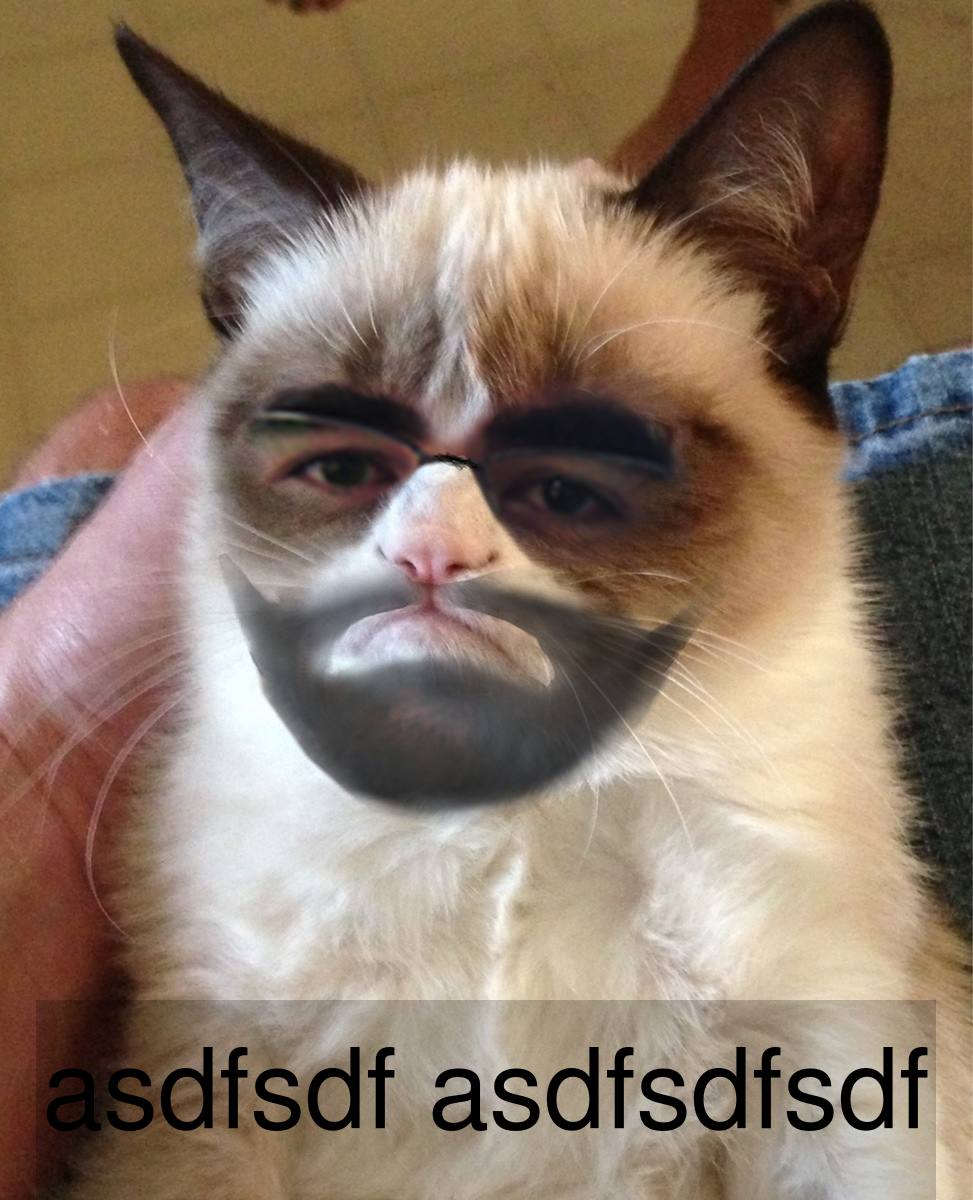 _meme1396887498000.png