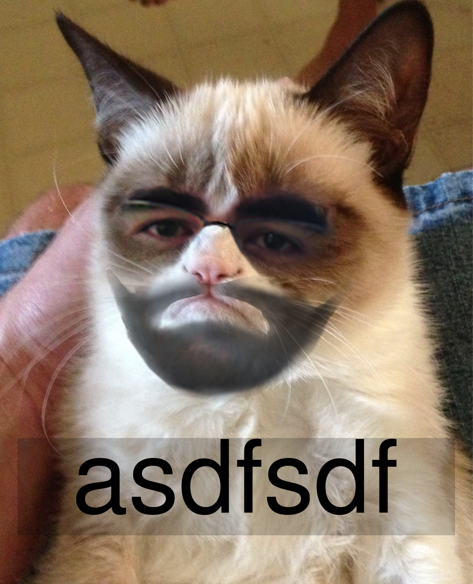 _meme_1396971105773.png