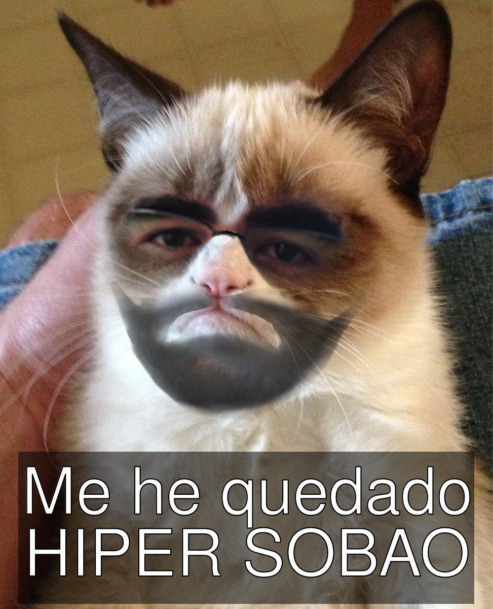 _meme_1397118448085.png