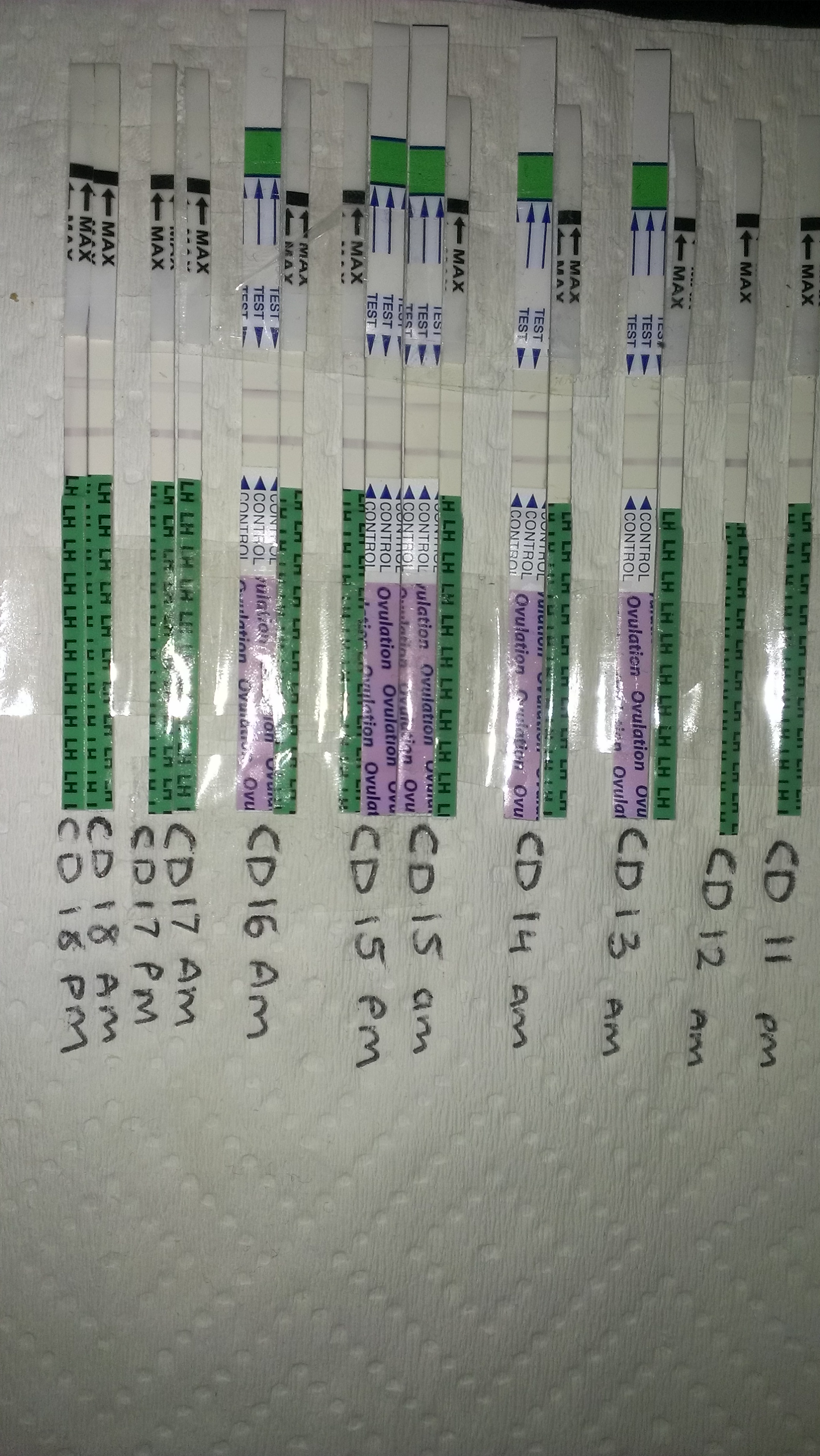IMAG0191.jpg