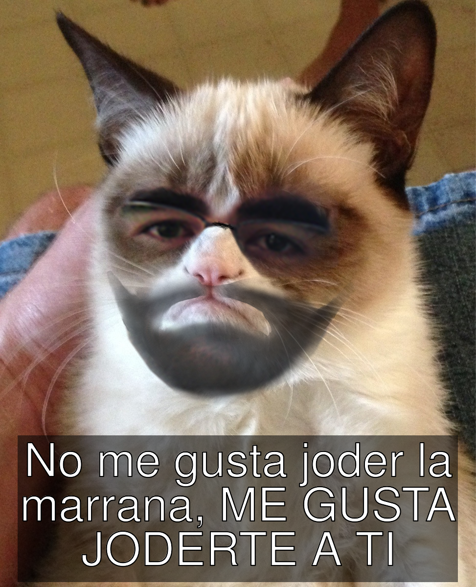 _meme_1397210114093.png