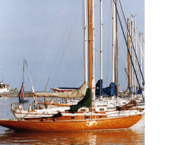 30-knarr-1.jpg