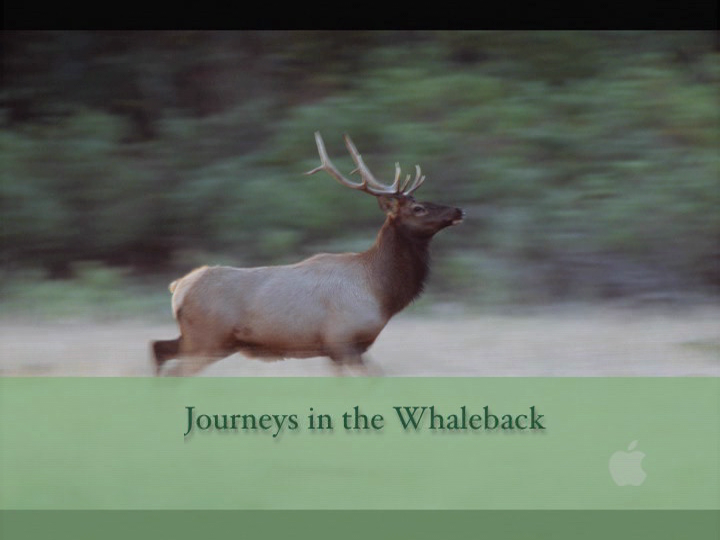 Journeys in the whaleback cover