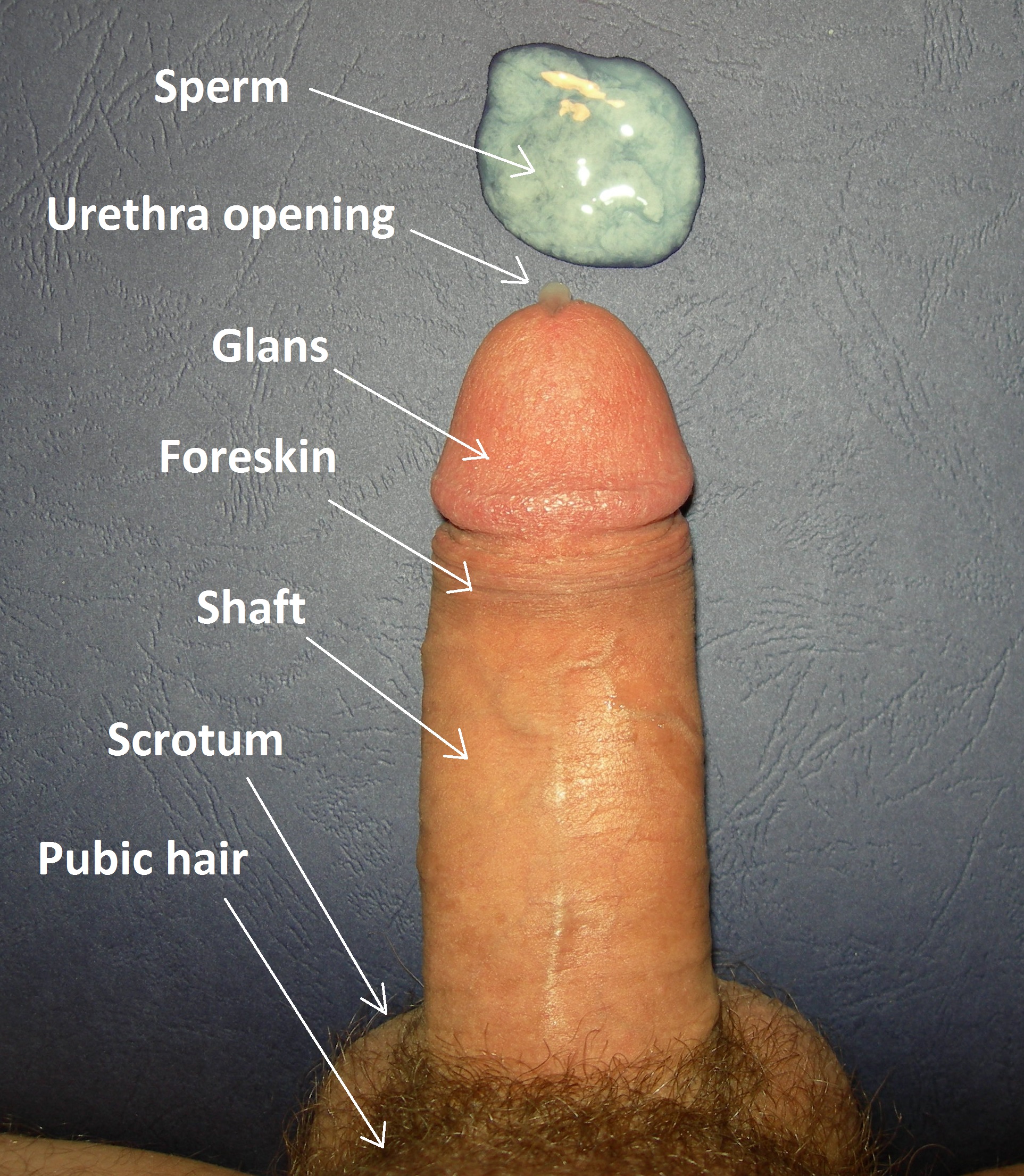5.JPG