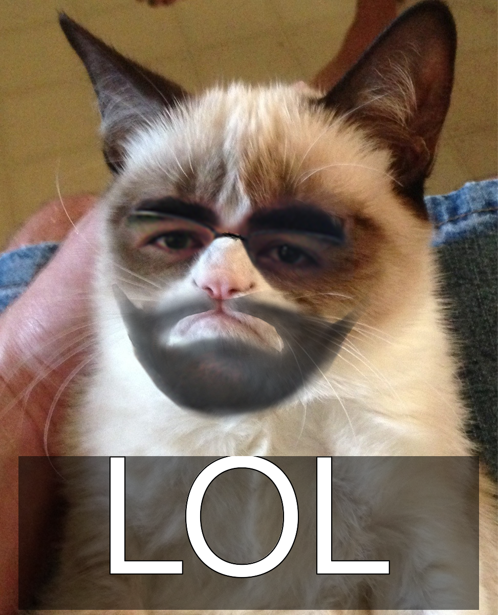 _meme_1399558271611.png