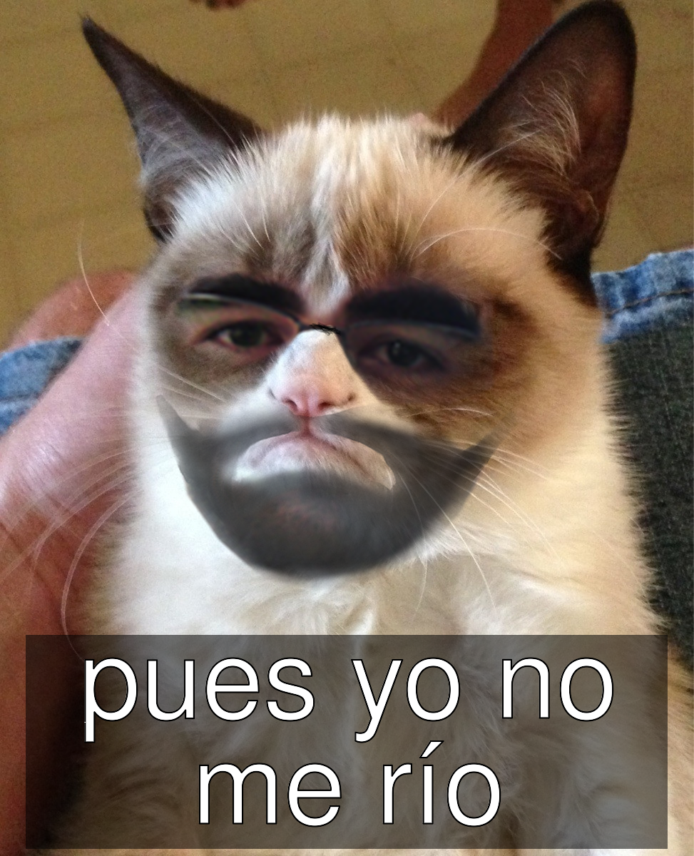 _meme_1399621573417.png