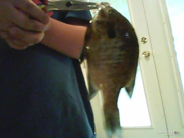 Nathan Fish