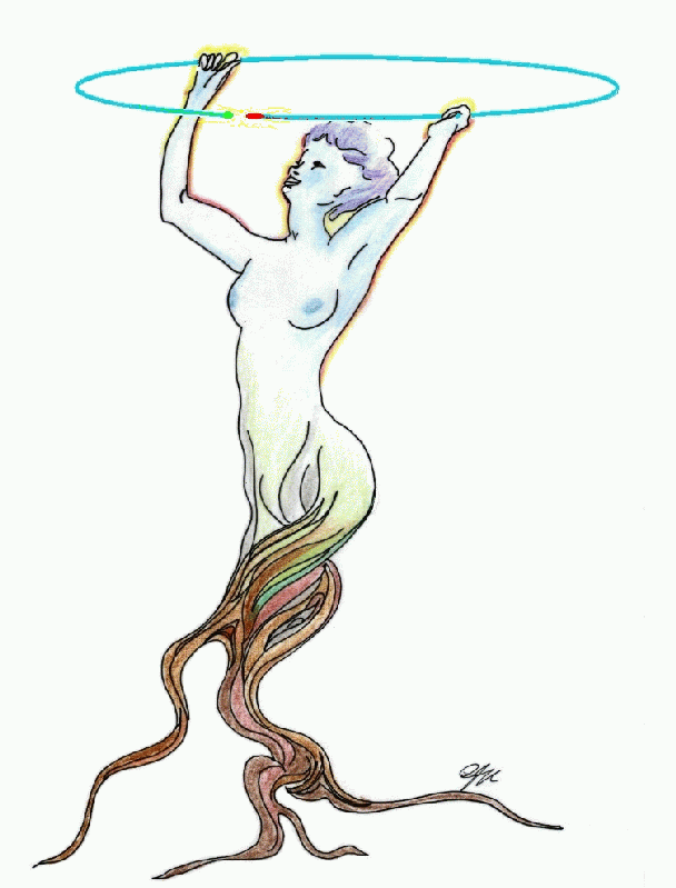rootdrawing.gif
