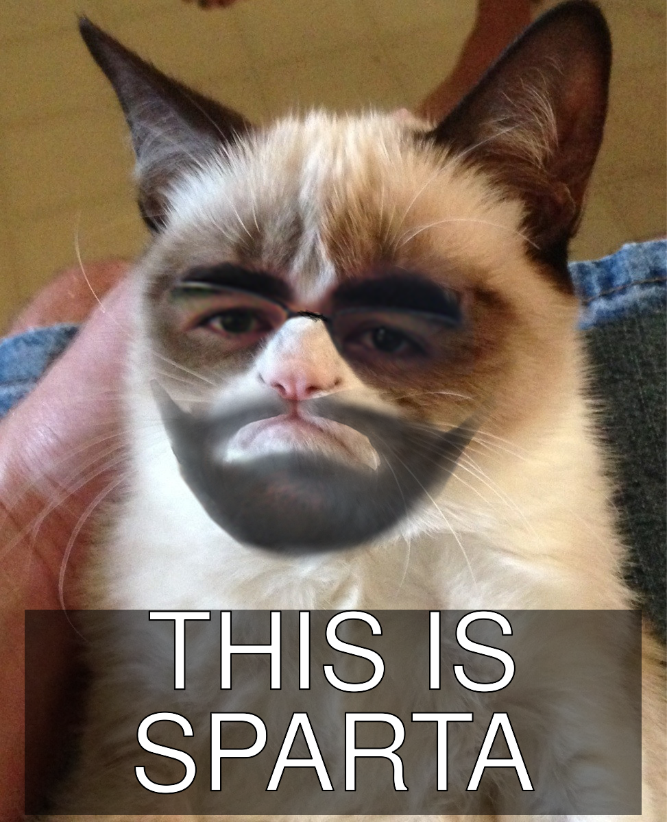 _meme_1401868642043.png