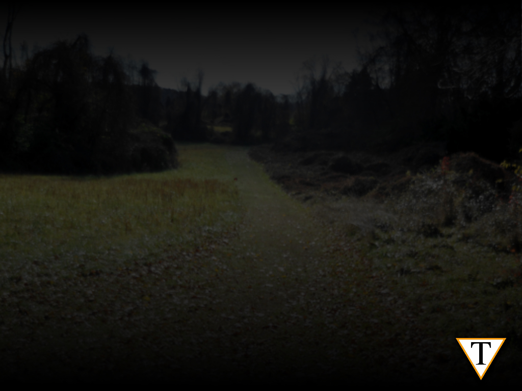 webpagebackground.jpg