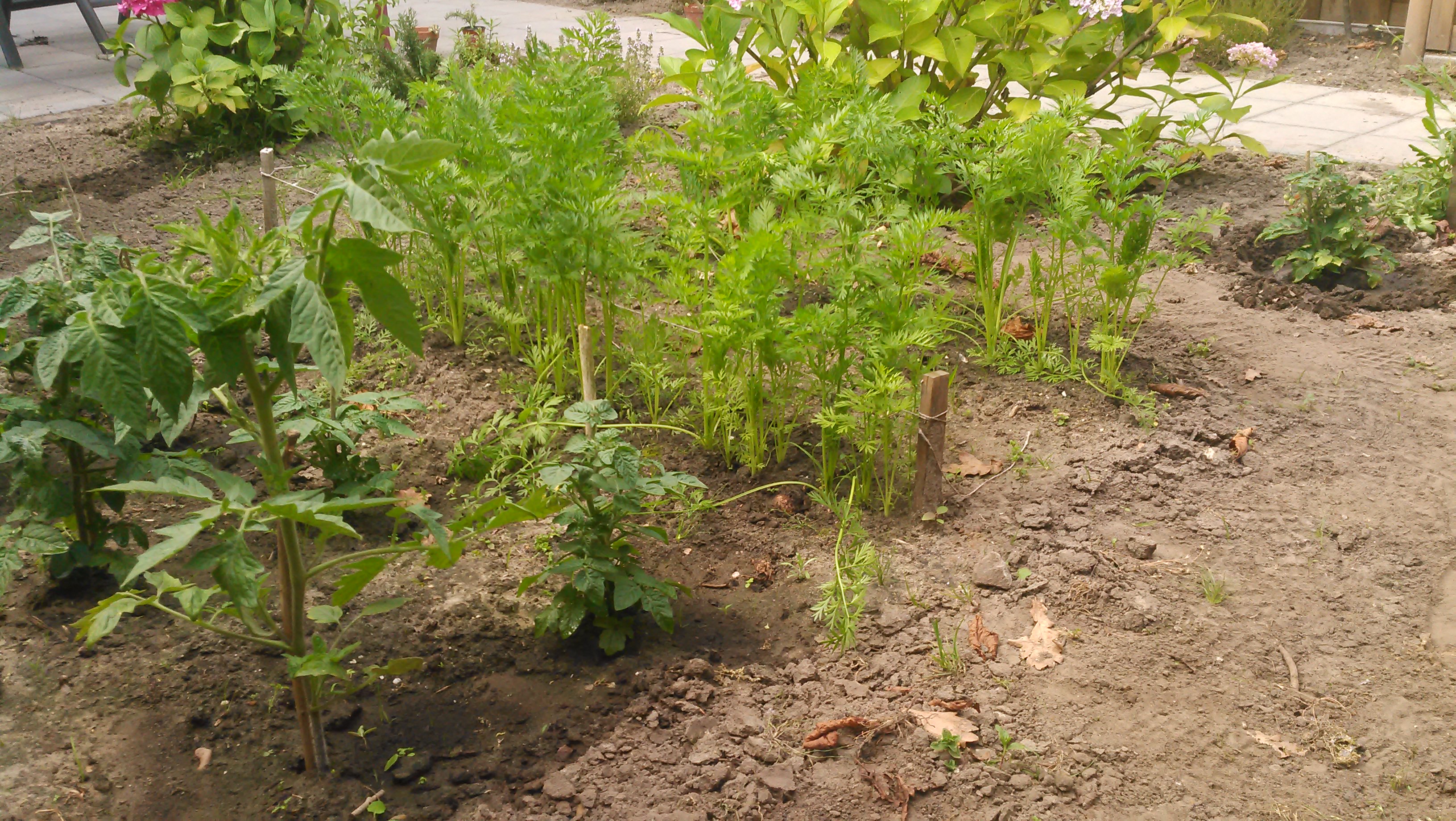20140626_002.jpg