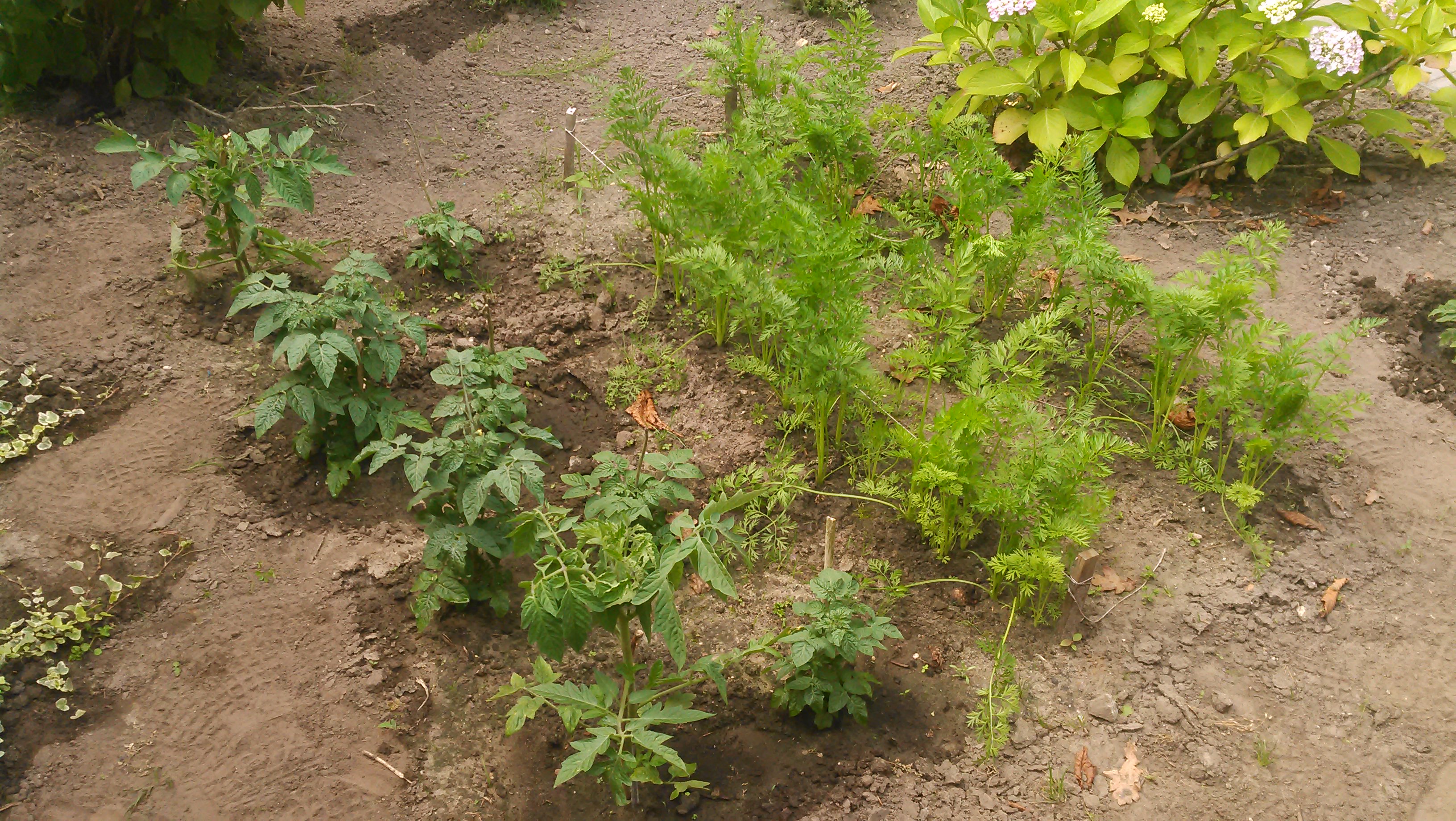 20140626_003.jpg