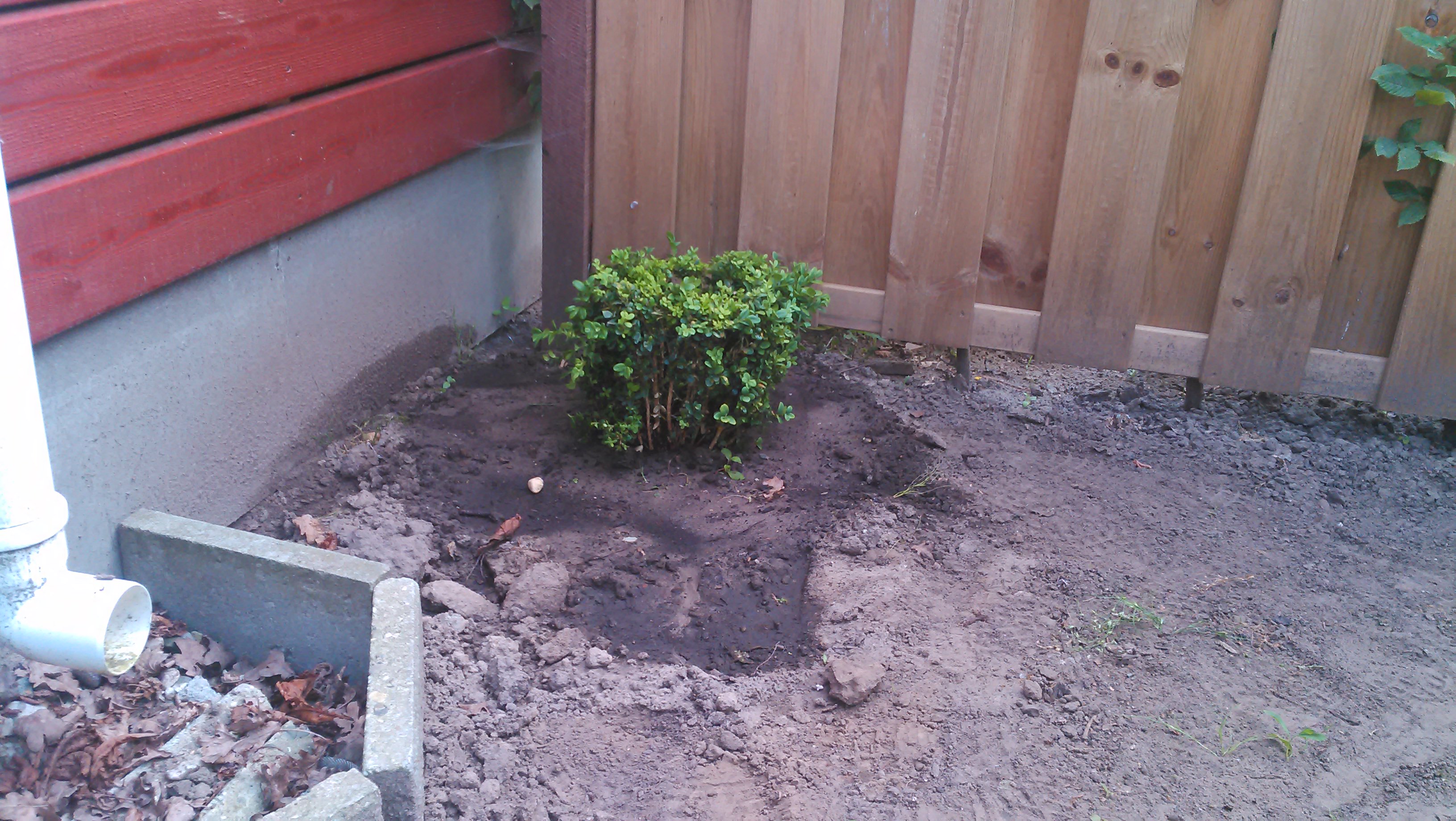 20140626_005.jpg