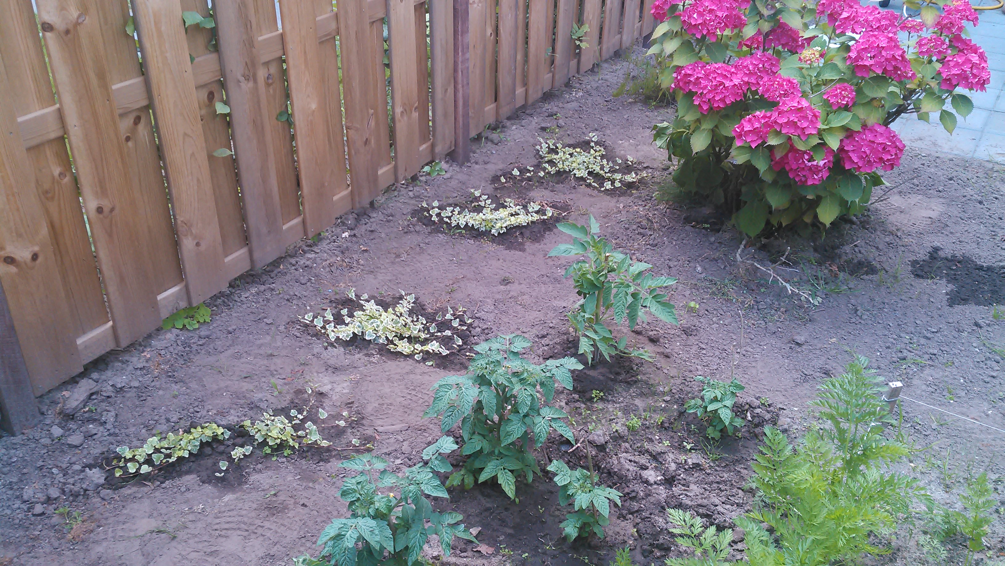 20140626_006.jpg