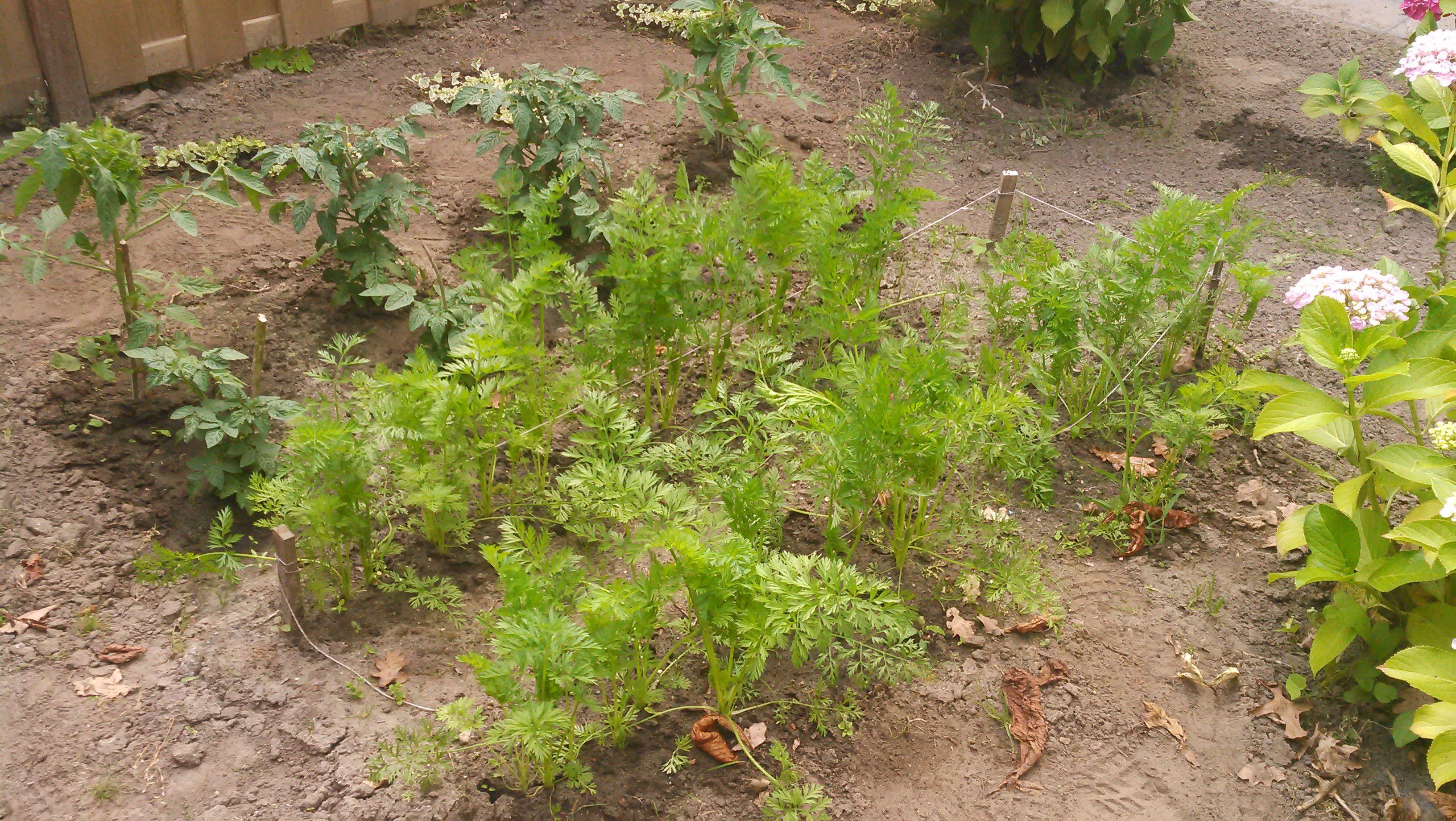 20140626_007.jpg