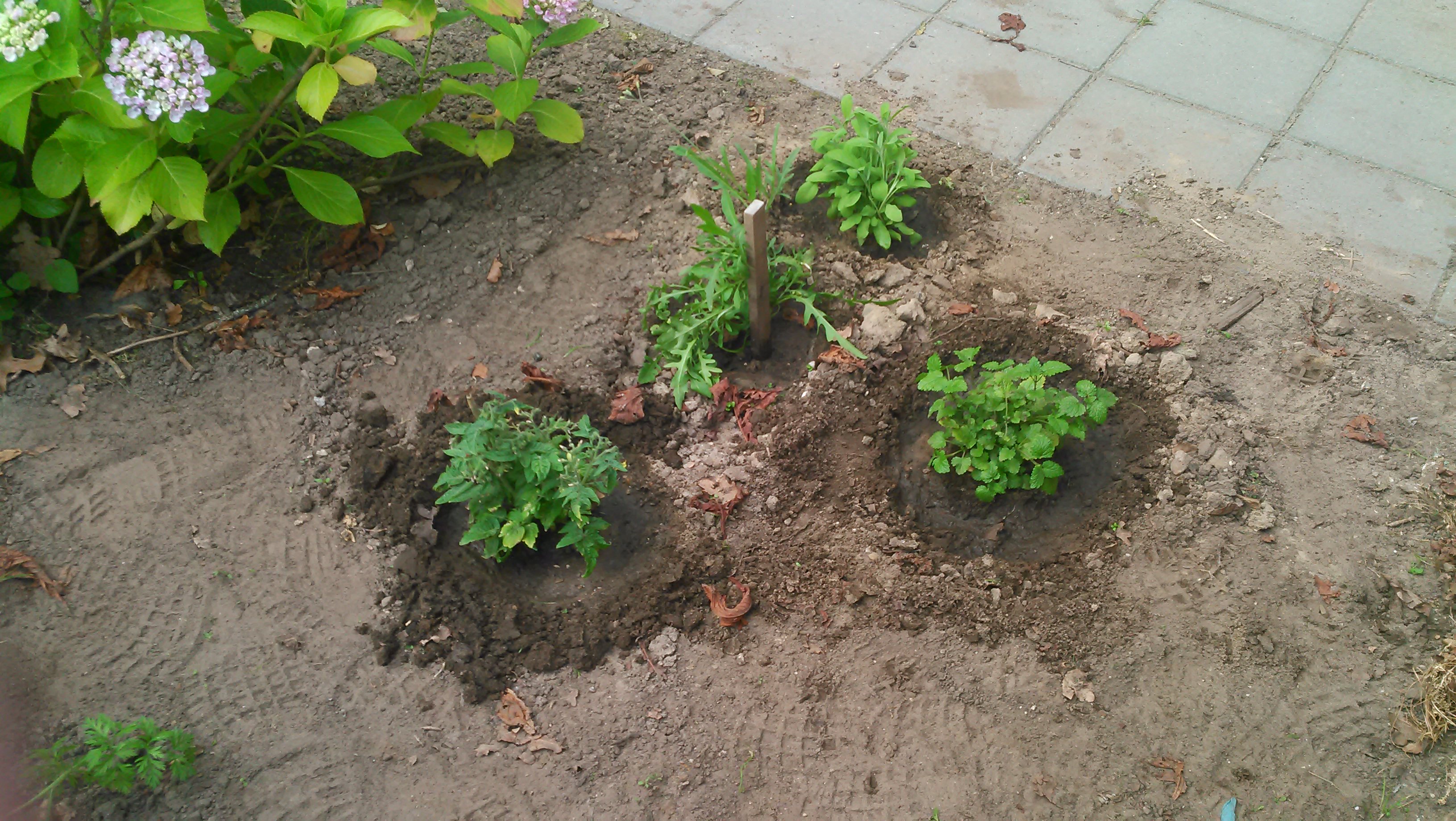 20140626_008.jpg