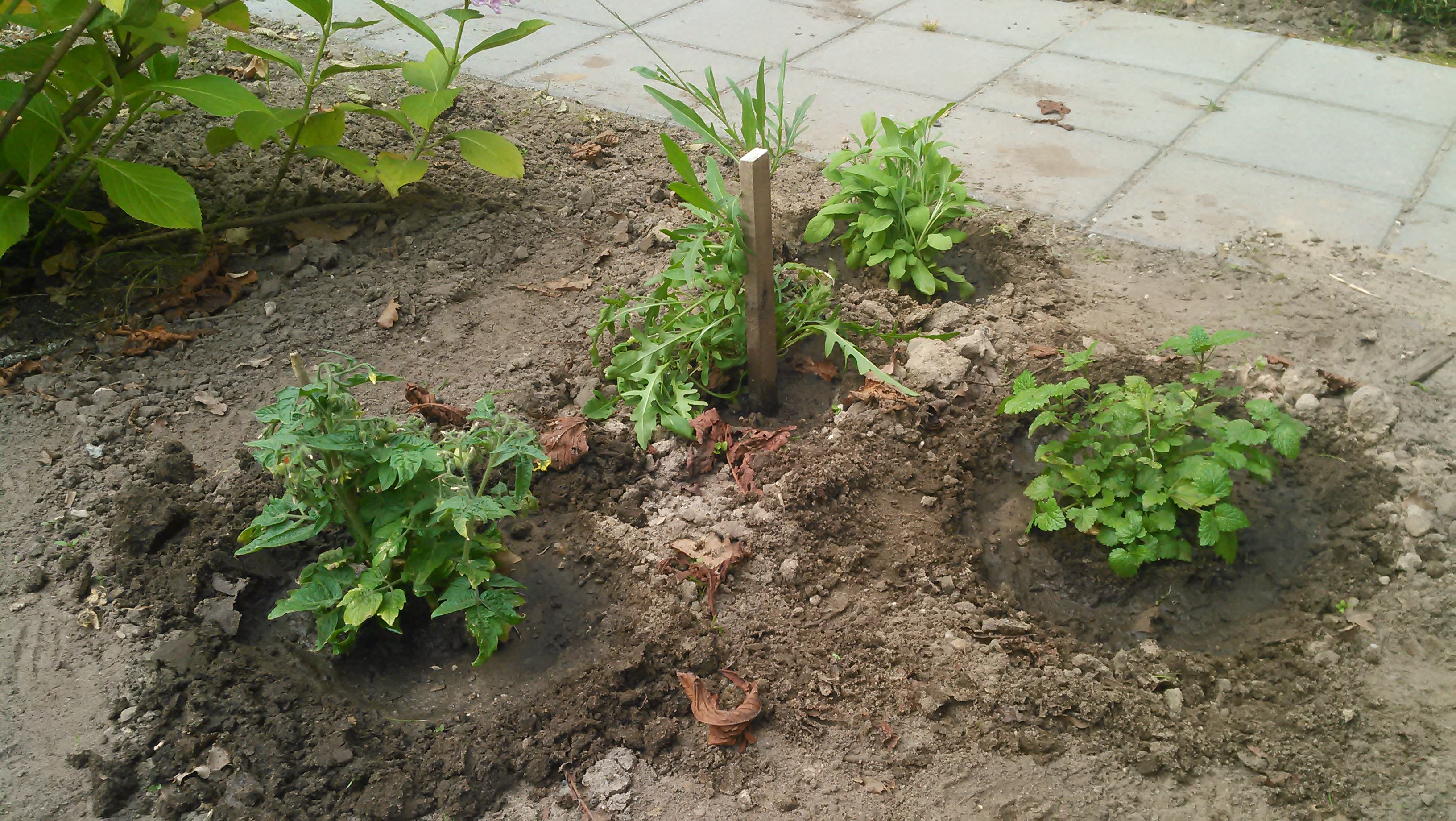 20140626_009.jpg