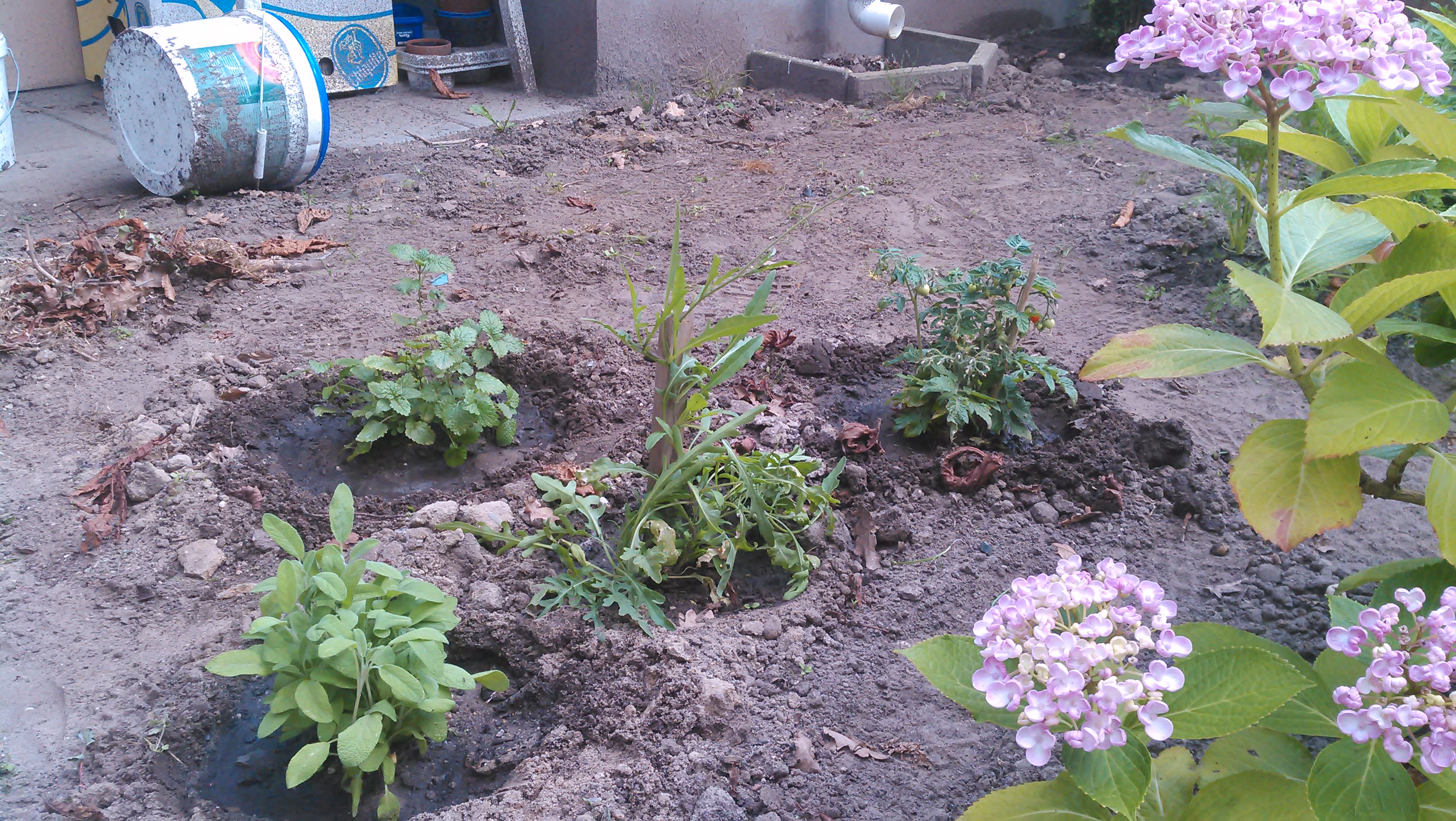 20140626_010.jpg