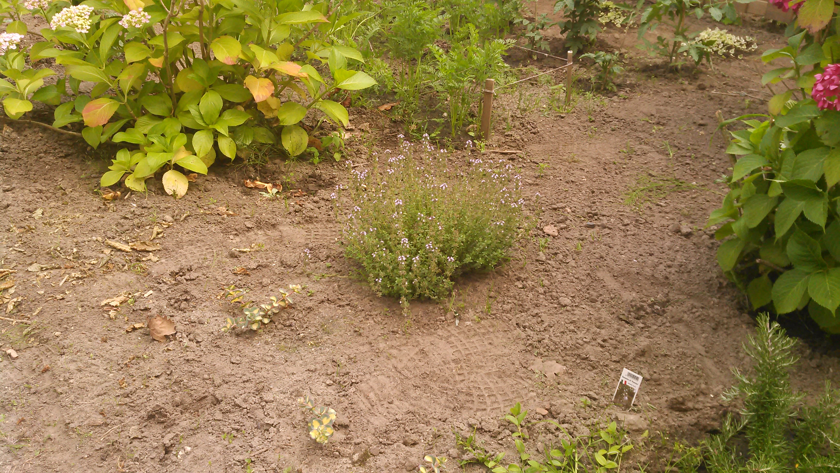 20140626_011.jpg