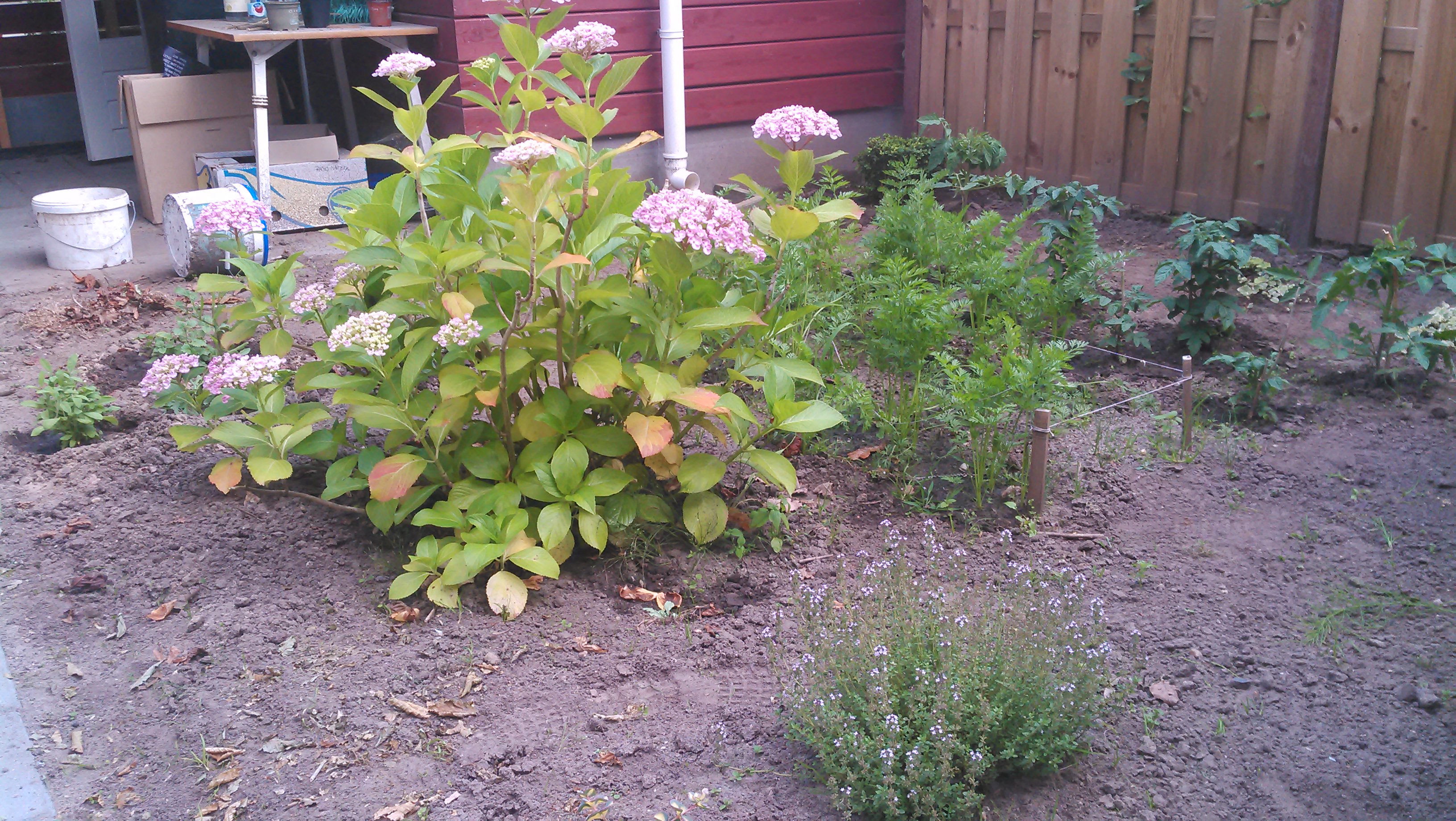 20140626_012.jpg