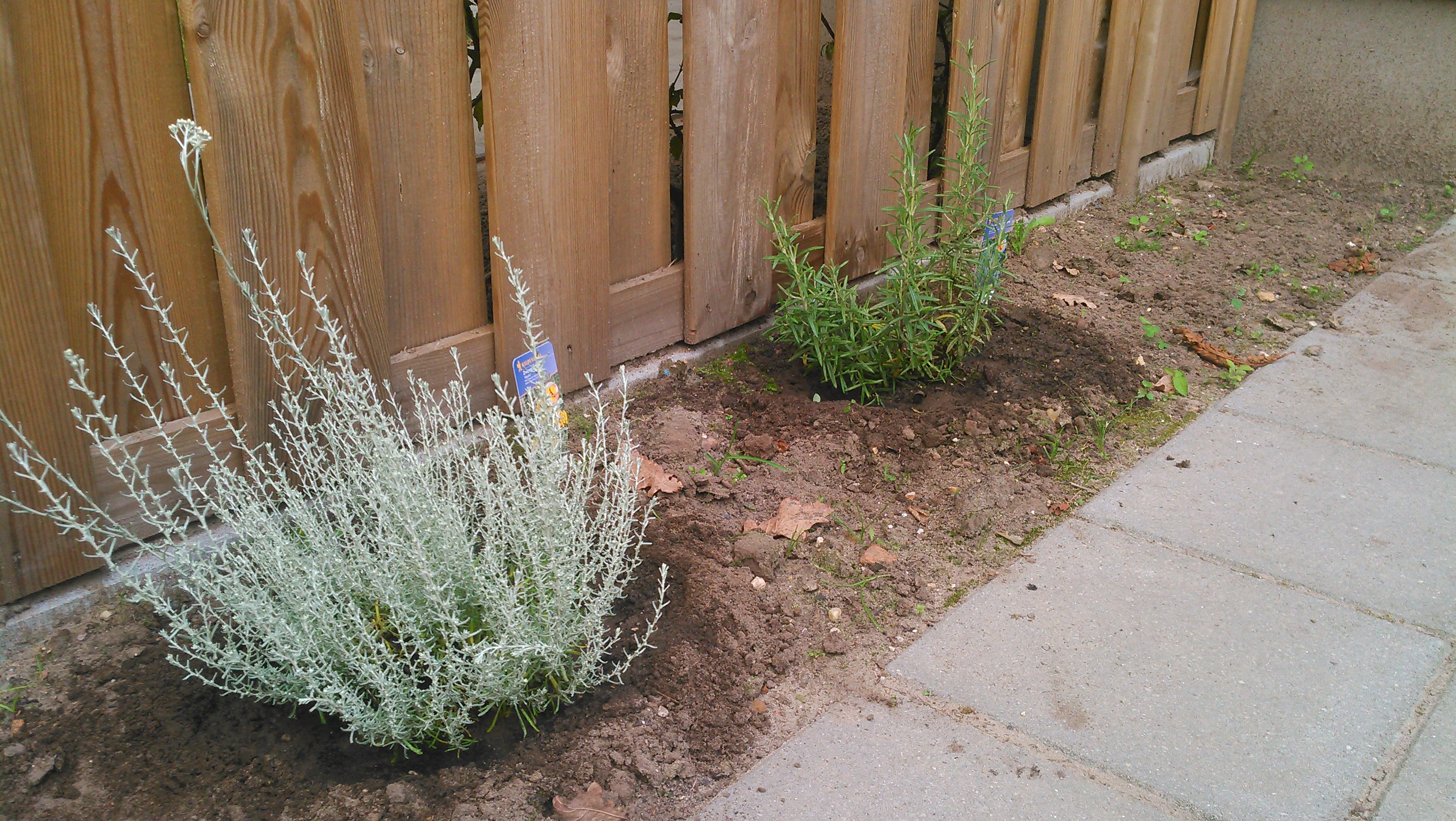 20140626_014.jpg