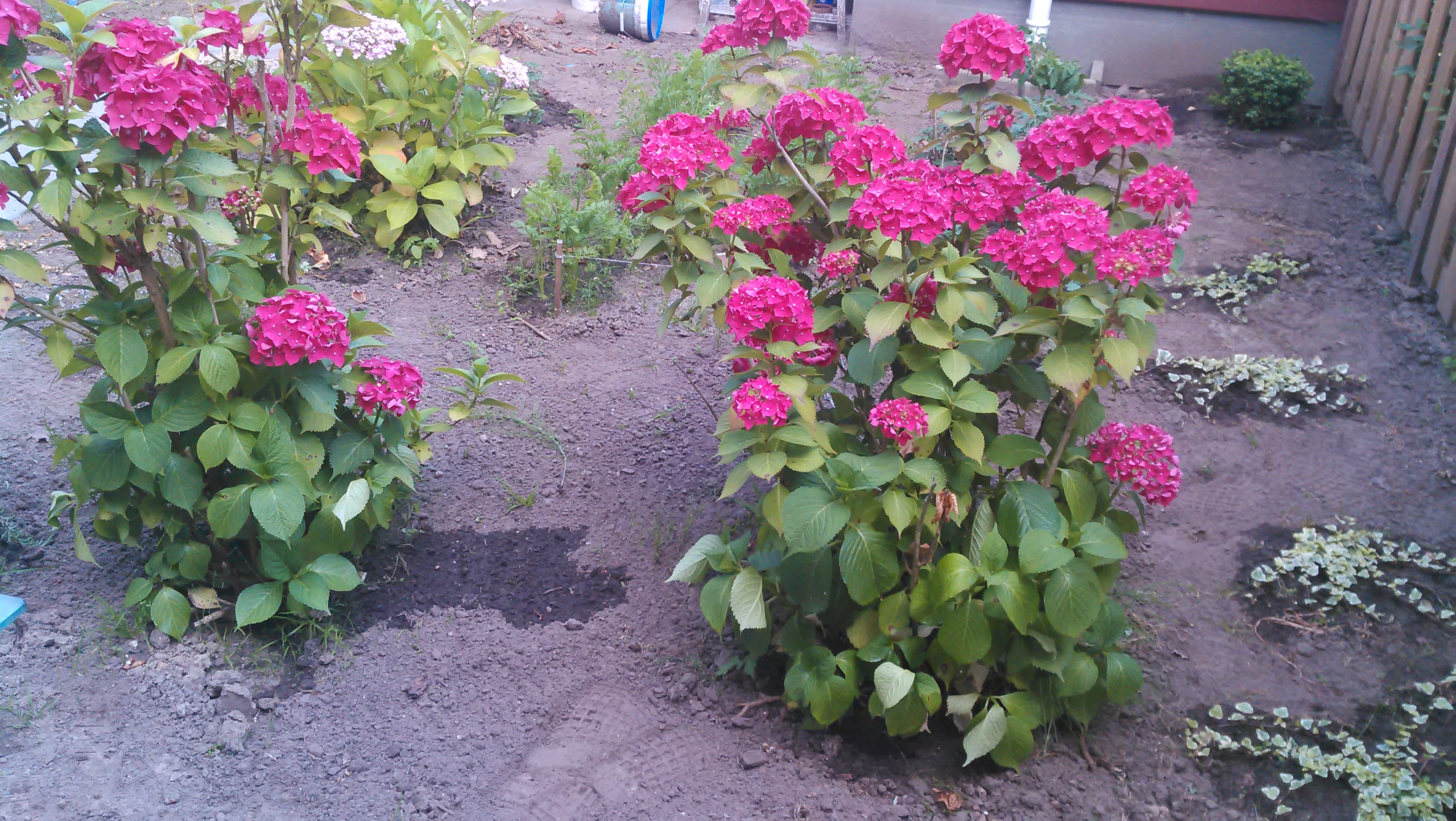 20140626_015.jpg
