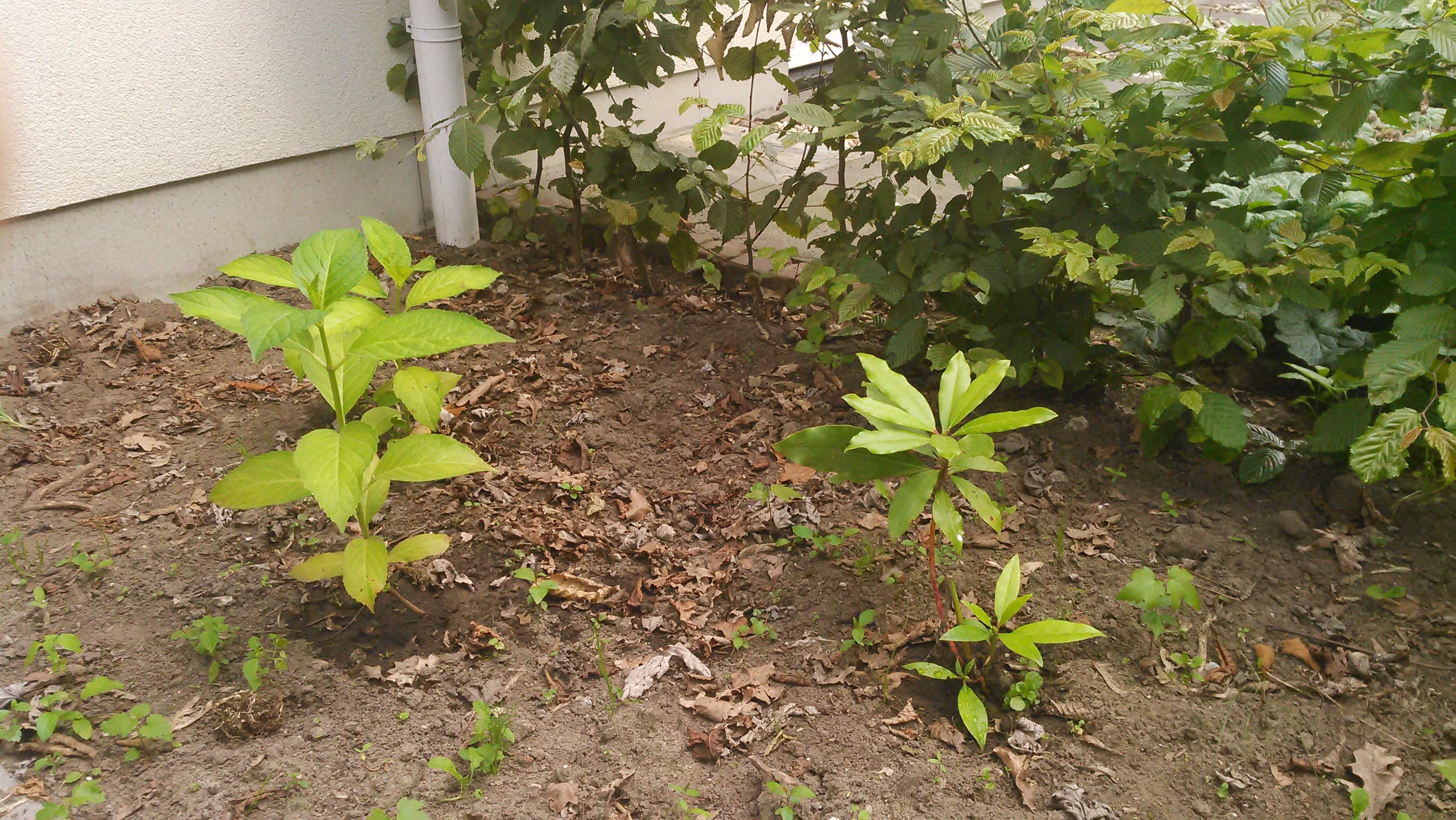 20140626_017.jpg