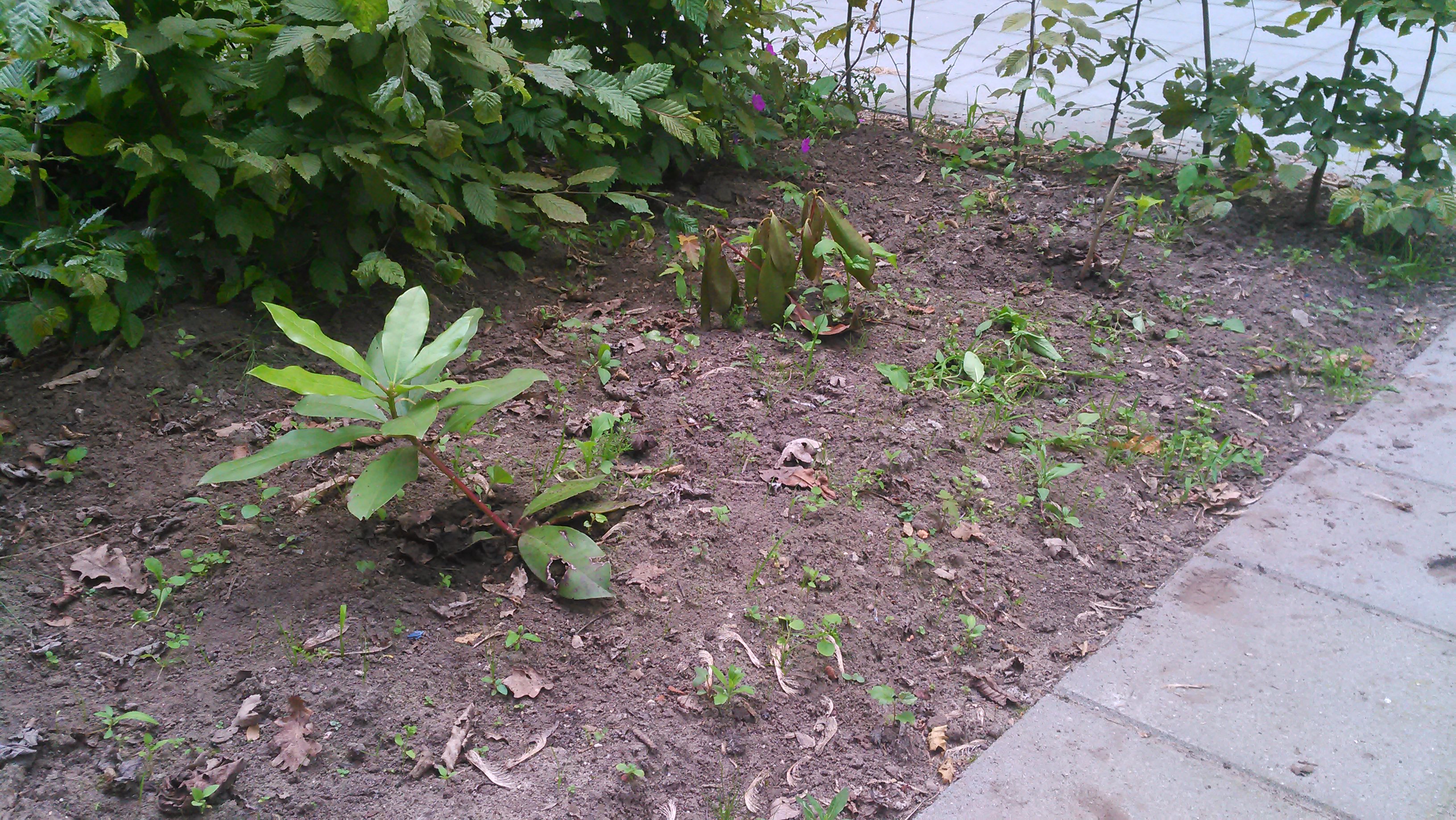 20140626_018.jpg