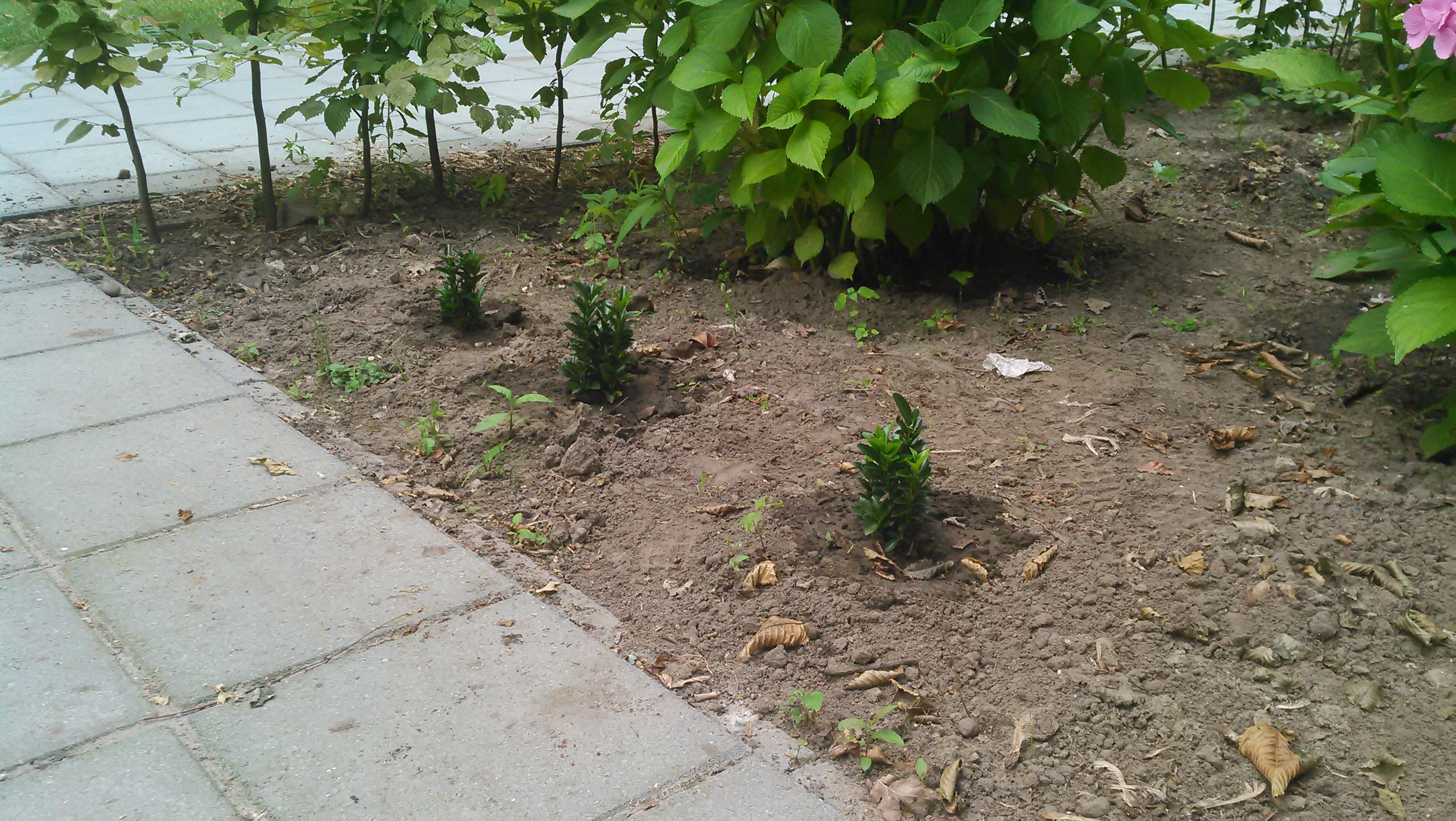 20140626_019.jpg
