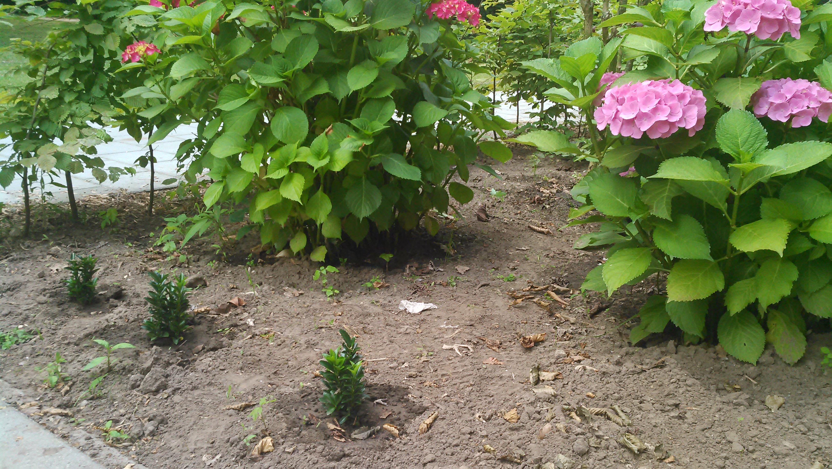20140626_020.jpg