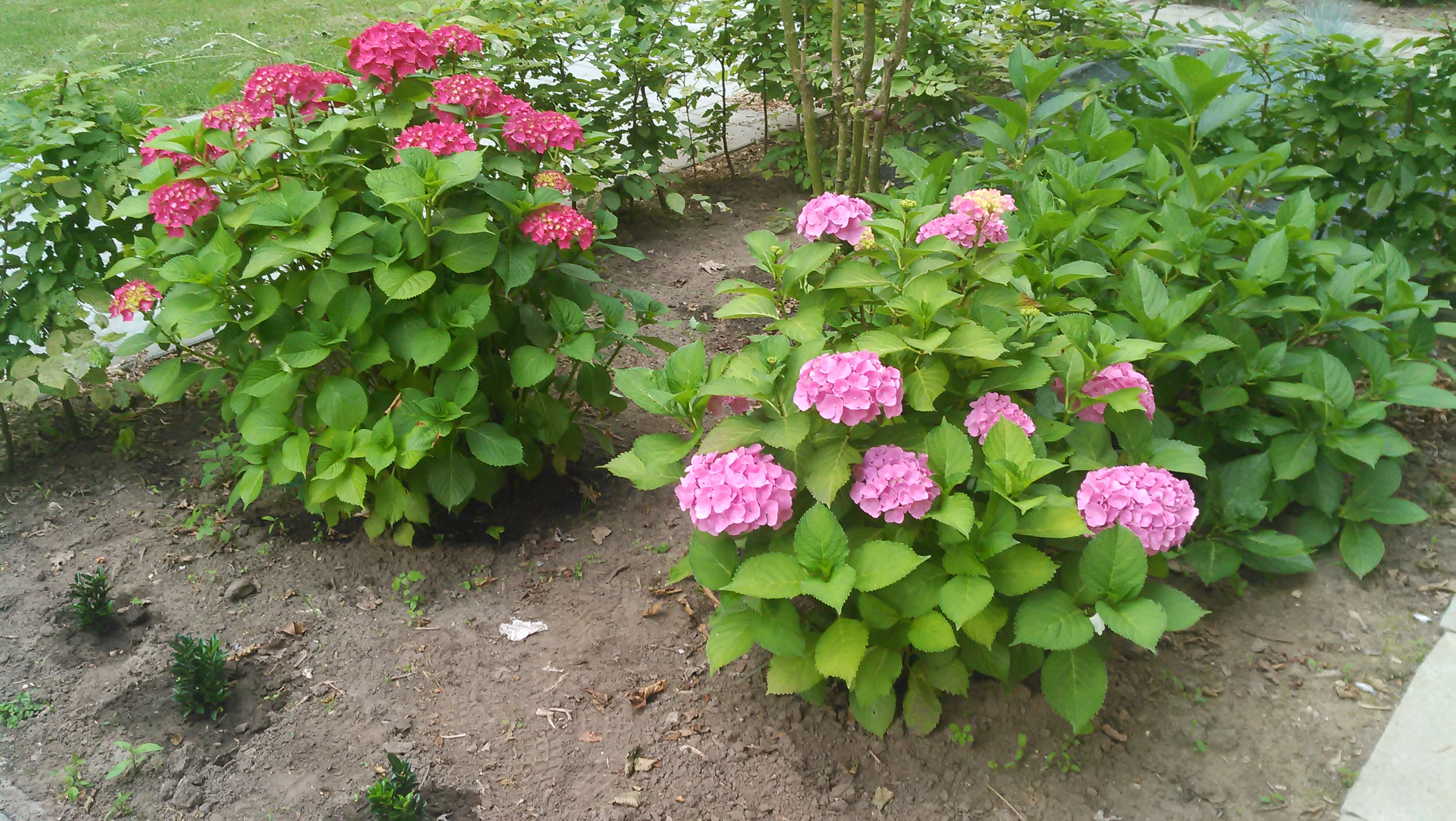 20140626_021.jpg