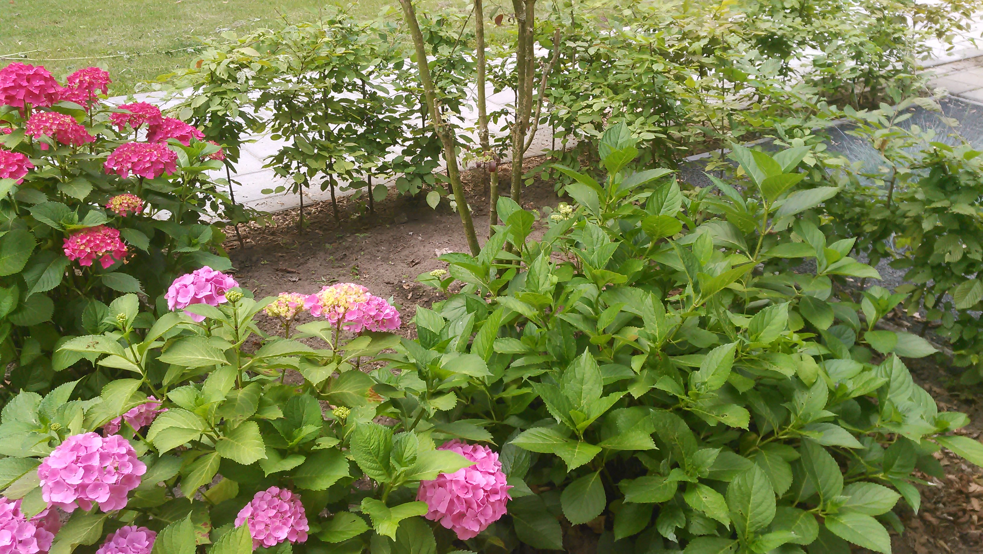 20140626_022.jpg