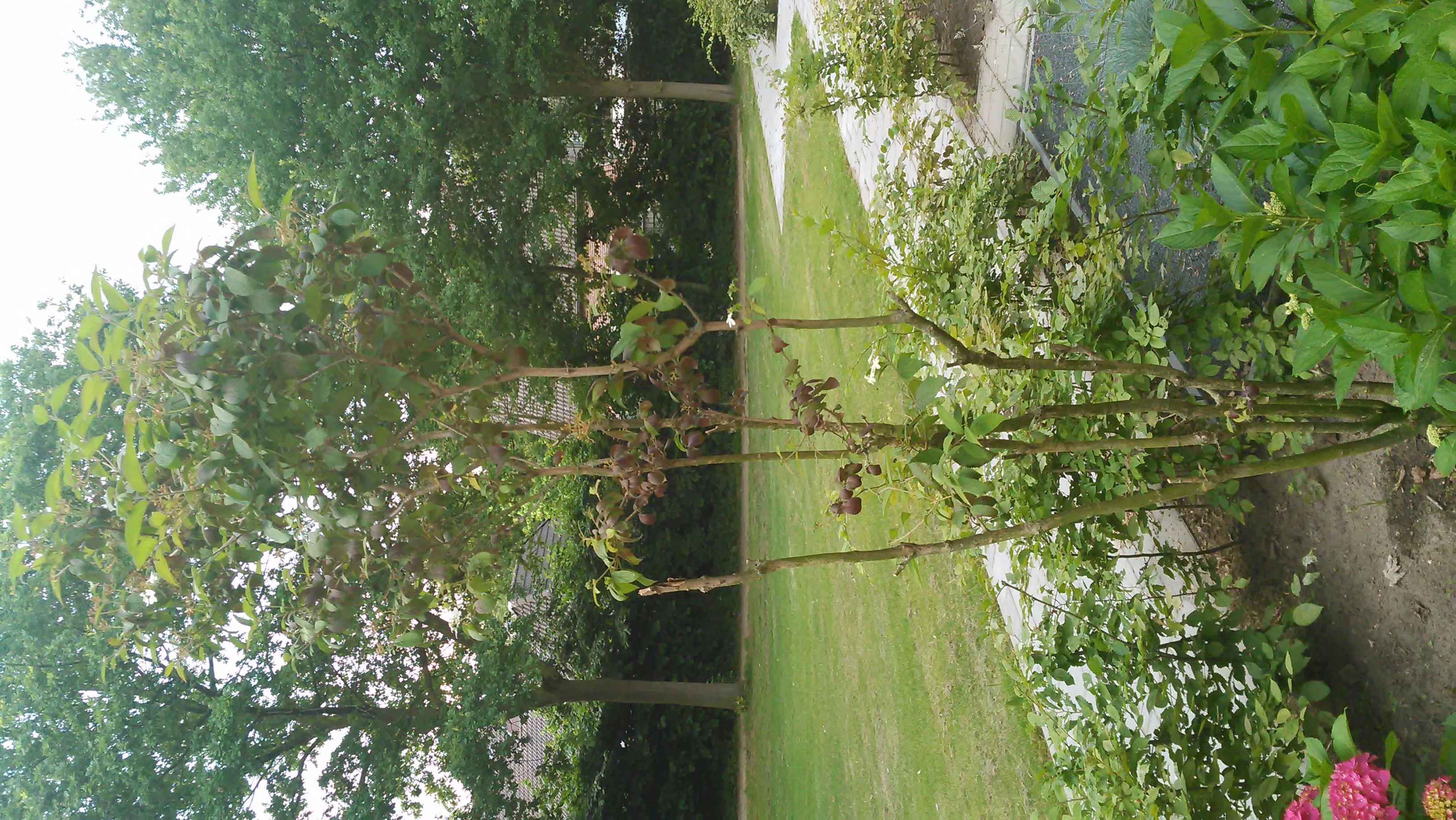 20140626_023.jpg