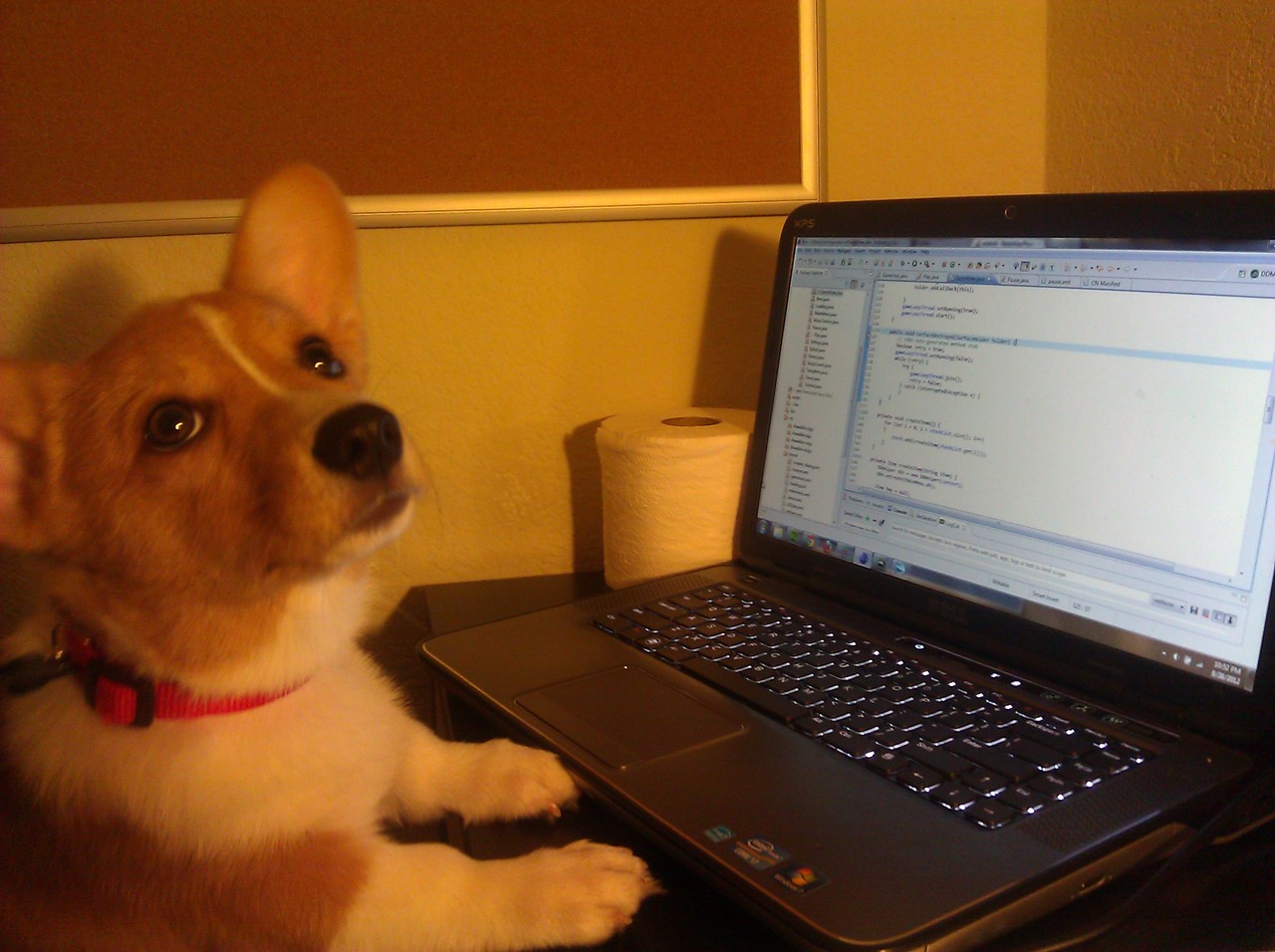 Code Compiles  Mascot
