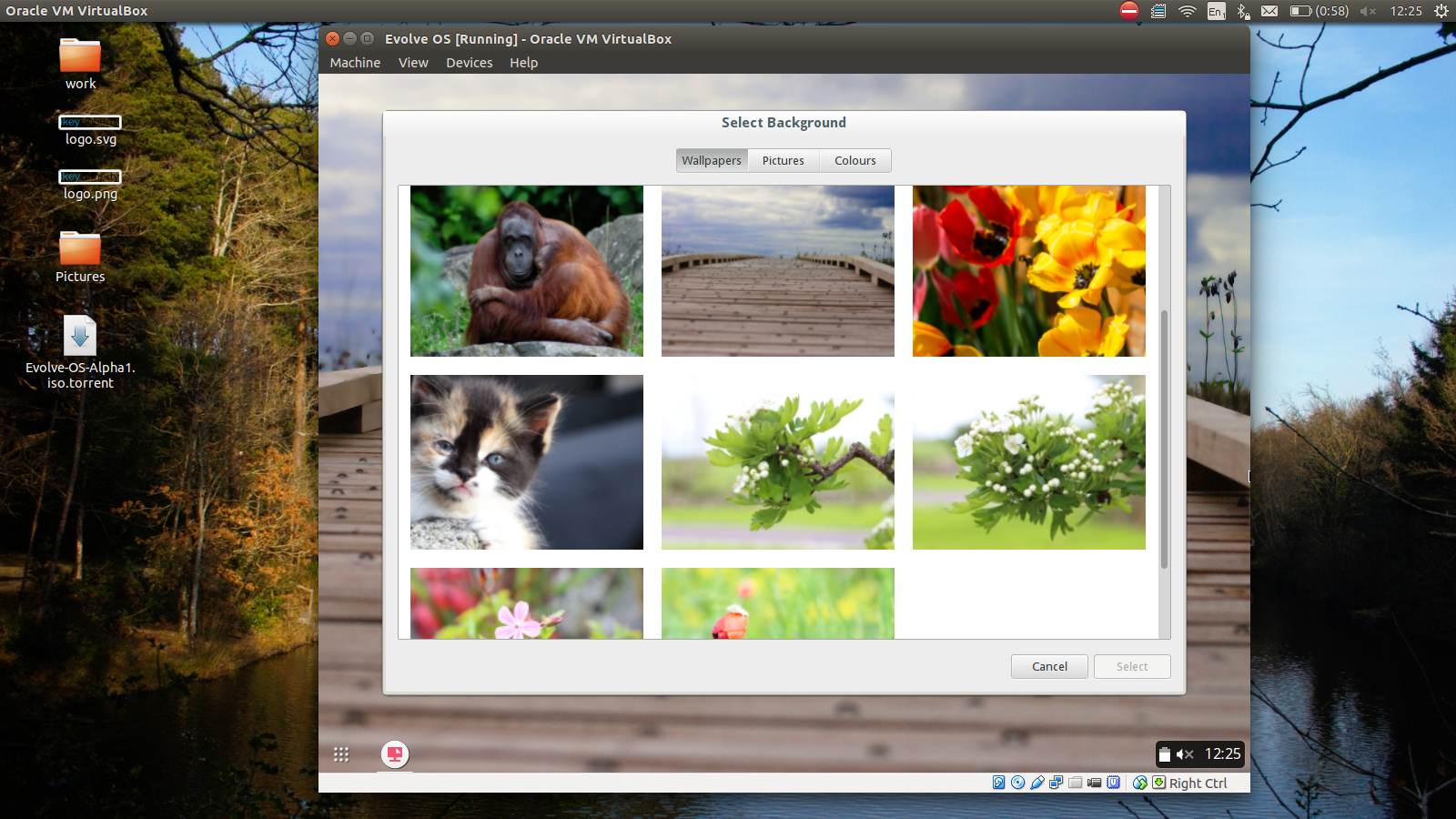 Screenshotfrom2014-07-07122550.png