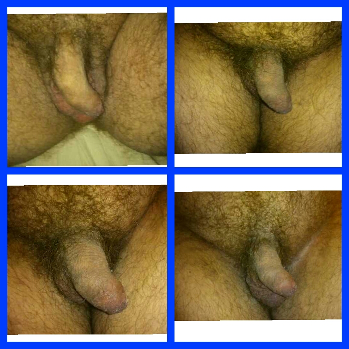 bear shows cock