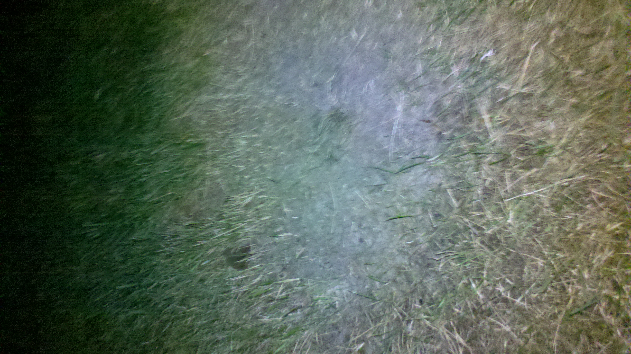 2014-07-24_23-03-02_982.jpg