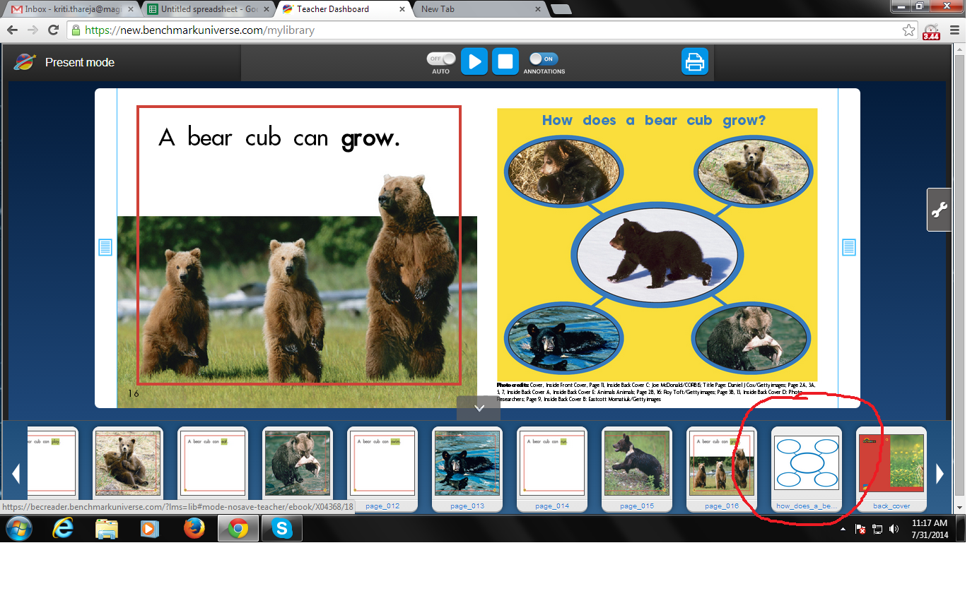 Thumbnails not visible