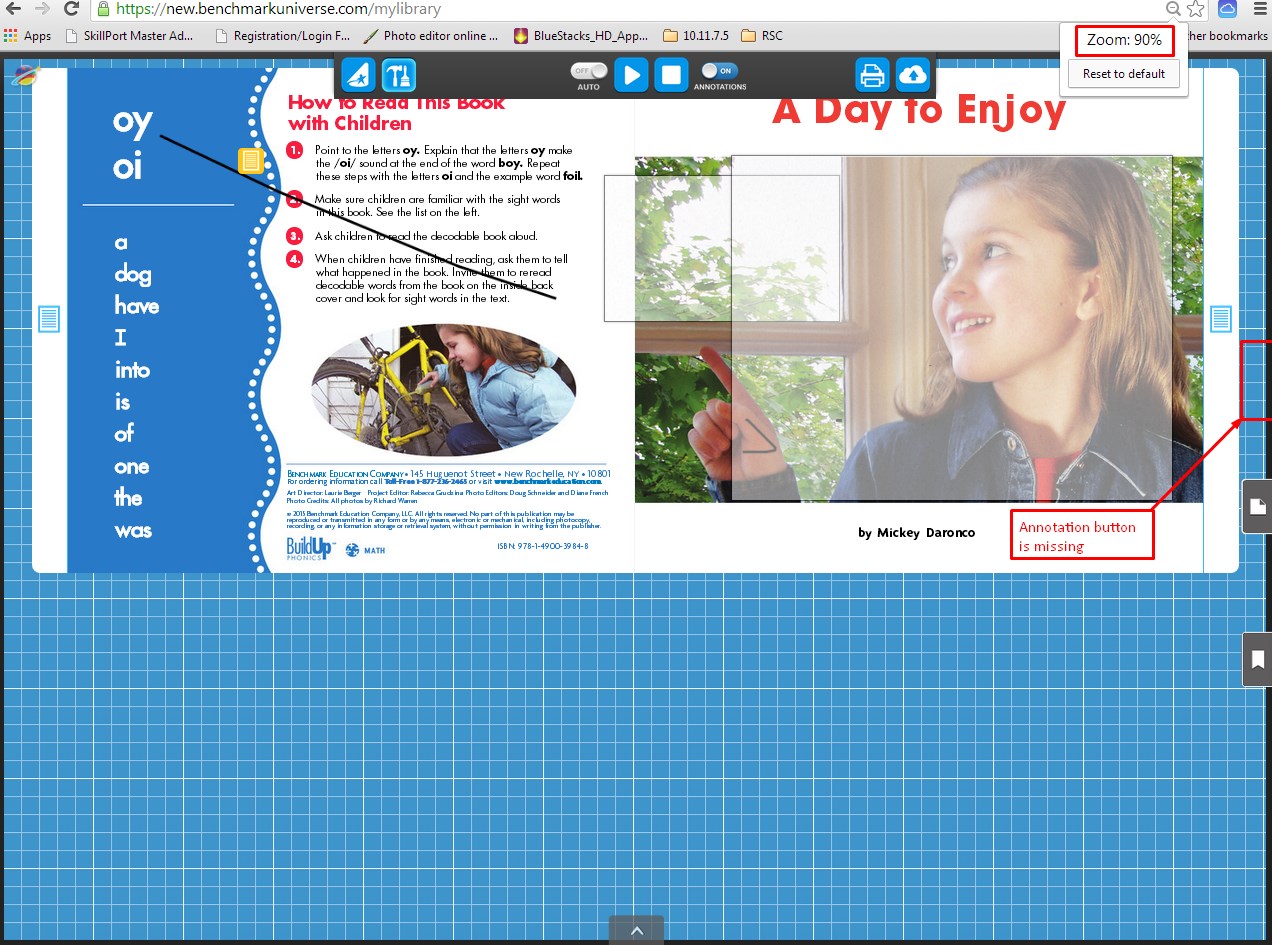 Annotation button is missing in Chrome