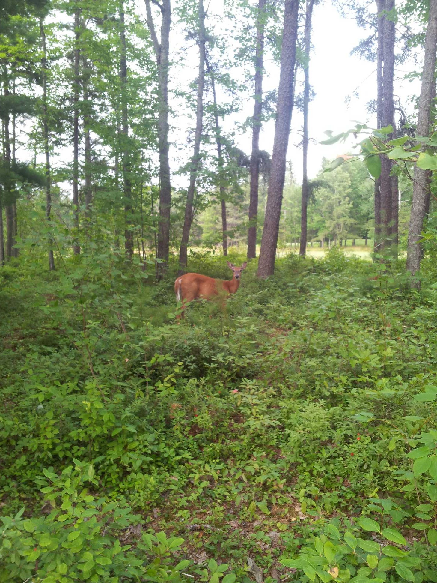 download_20140804_101717.jpeg
