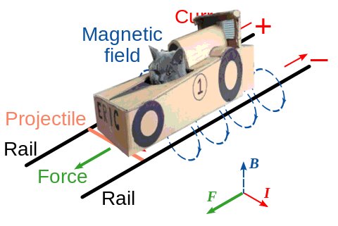 Formula E Cat Rails Racer