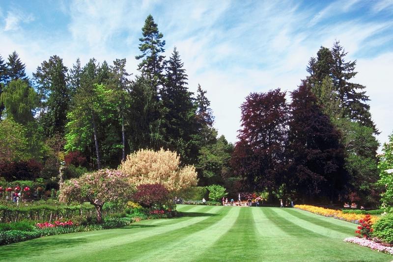 Landscape Design and Installation