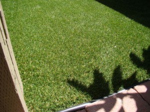 Different Qualities Of Grass